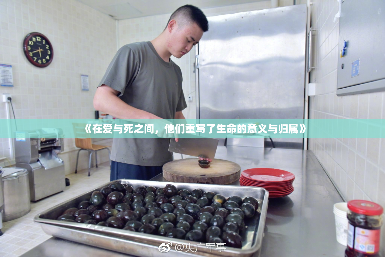 《在爱与死之间，他们重写了生命的意义与归属》