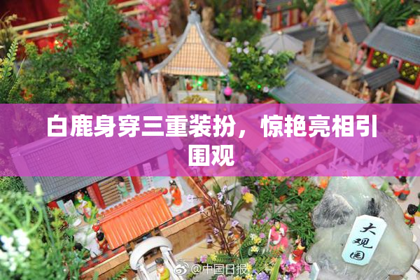 白鹿身穿三重装扮，惊艳亮相引围观