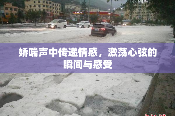 娇喘声中传递情感，激荡心弦的瞬间与感受