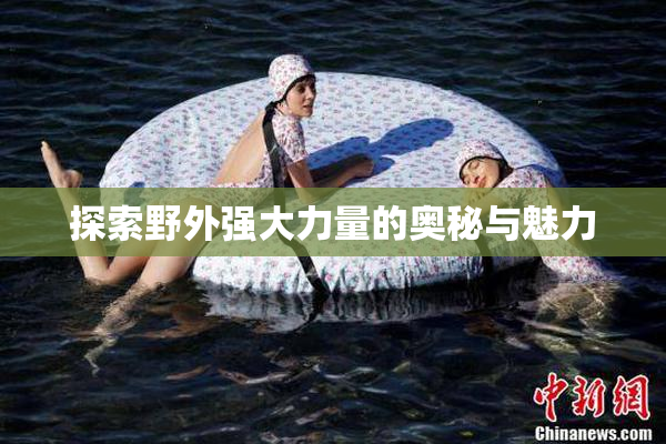 探索野外强大力量的奥秘与魅力