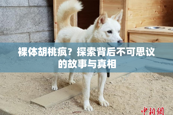 裸体胡桃疯？探索背后不可思议的故事与真相