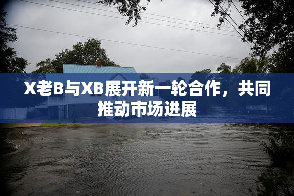 X老B与XB展开新一轮合作，共同推动市场进展
