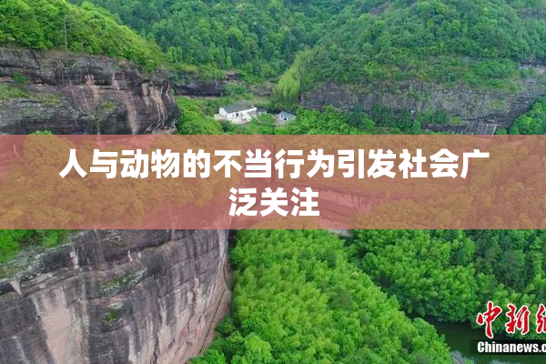 人与动物的不当行为引发社会广泛关注