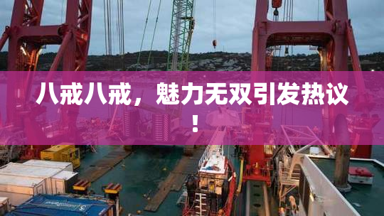 八戒八戒，魅力无双引发热议！