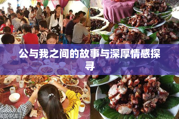 公与我之间的故事与深厚情感探寻