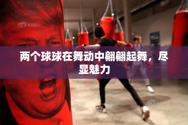 两个球球在舞动中翩翩起舞，尽显魅力