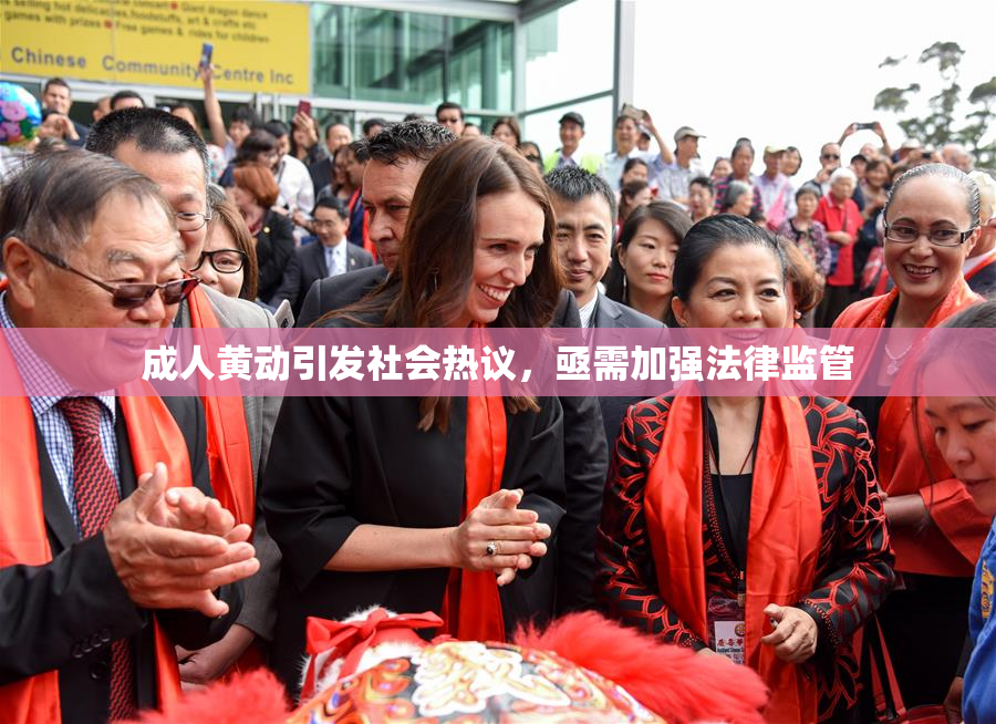 成人黄动引发社会热议，亟需加强法律监管