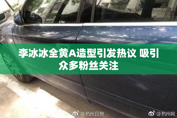 李冰冰全黄A造型引发热议 吸引众多粉丝关注