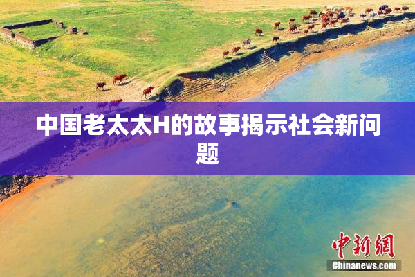 中国老太太H的故事揭示社会新问题