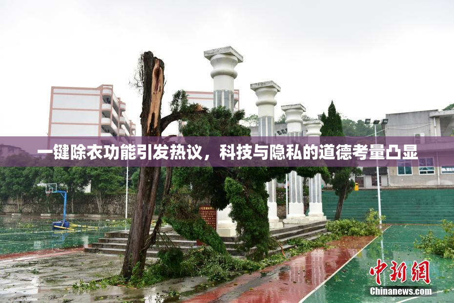一键除衣功能引发热议，科技与隐私的道德考量凸显