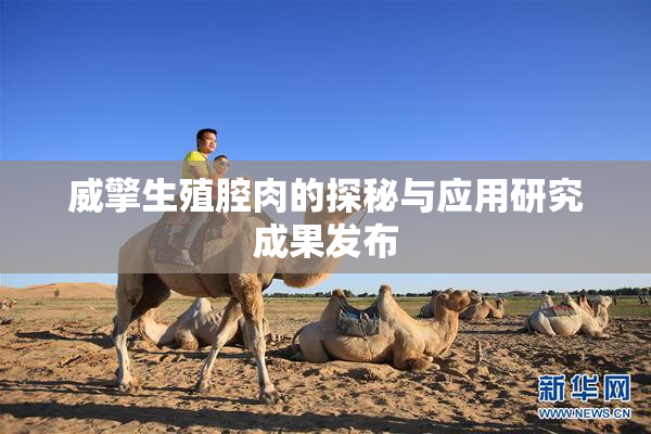 威擎生殖腔肉的探秘与应用研究成果发布