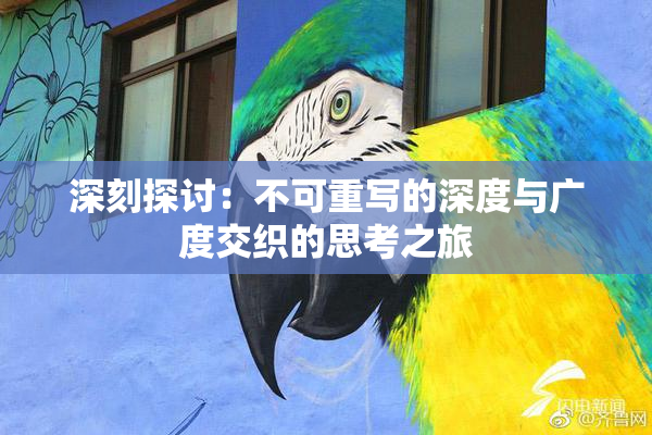 深刻探讨：不可重写的深度与广度交织的思考之旅