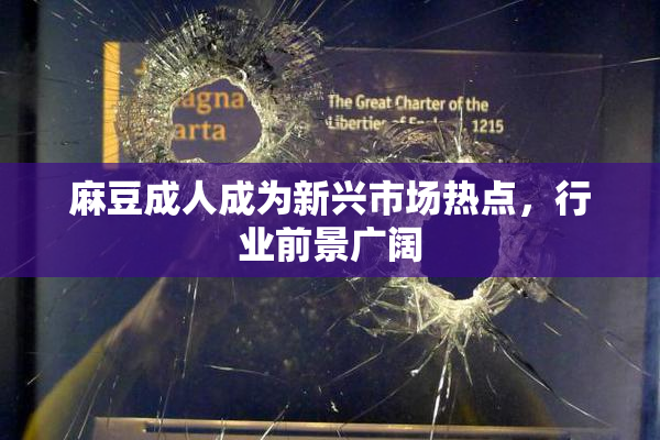 麻豆成人成为新兴市场热点，行业前景广阔
