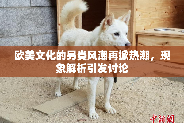 欧美文化的另类风潮再掀热潮，现象解析引发讨论