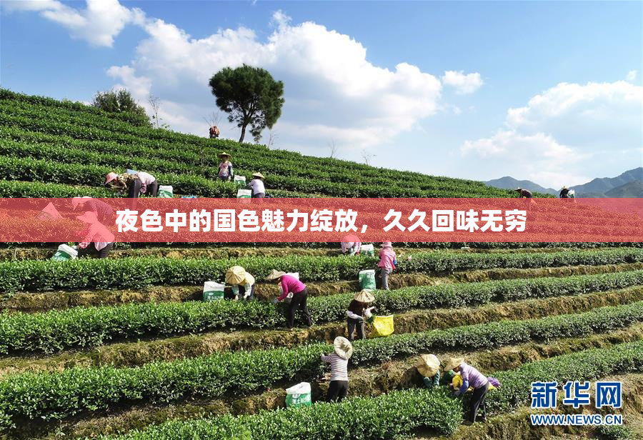 夜色中的国色魅力绽放，久久回味无穷