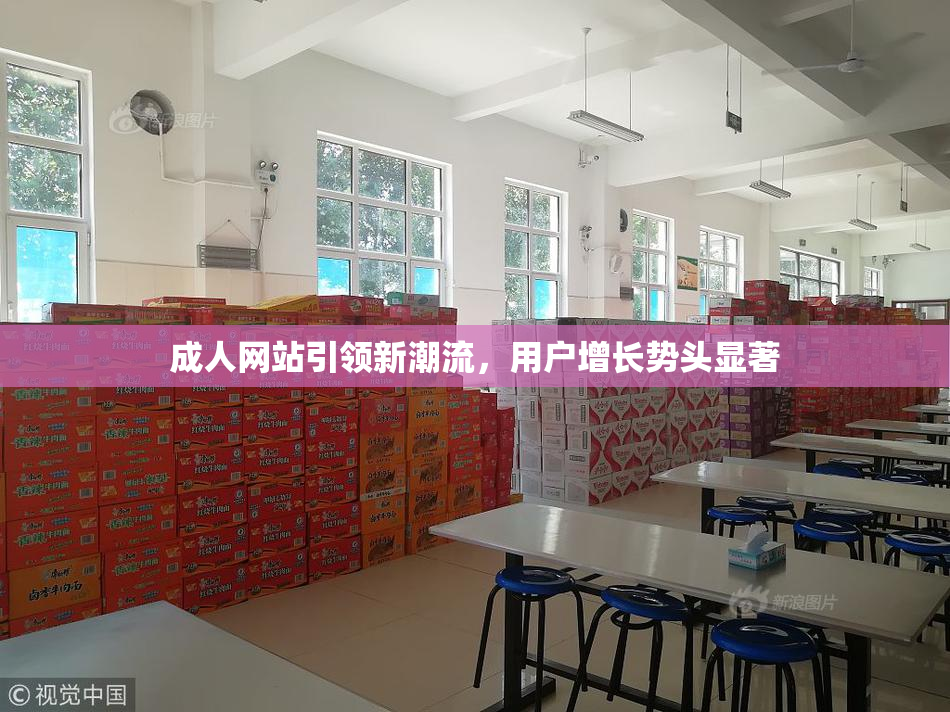 成人网站引领新潮流，用户增长势头显著
