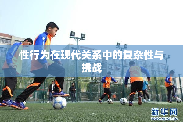 性行为在现代关系中的复杂性与挑战