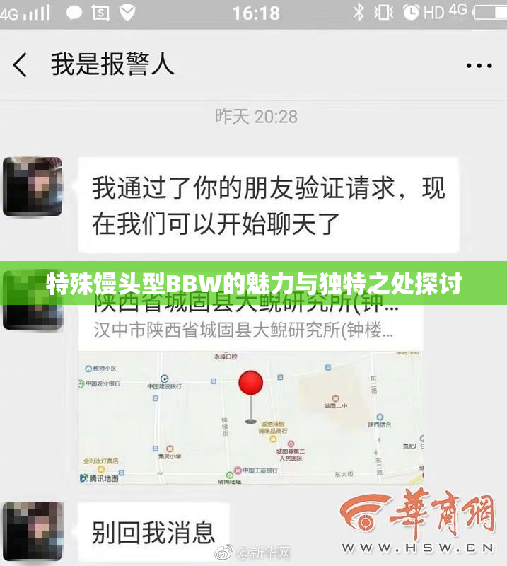 特殊馒头型BBW的魅力与独特之处探讨