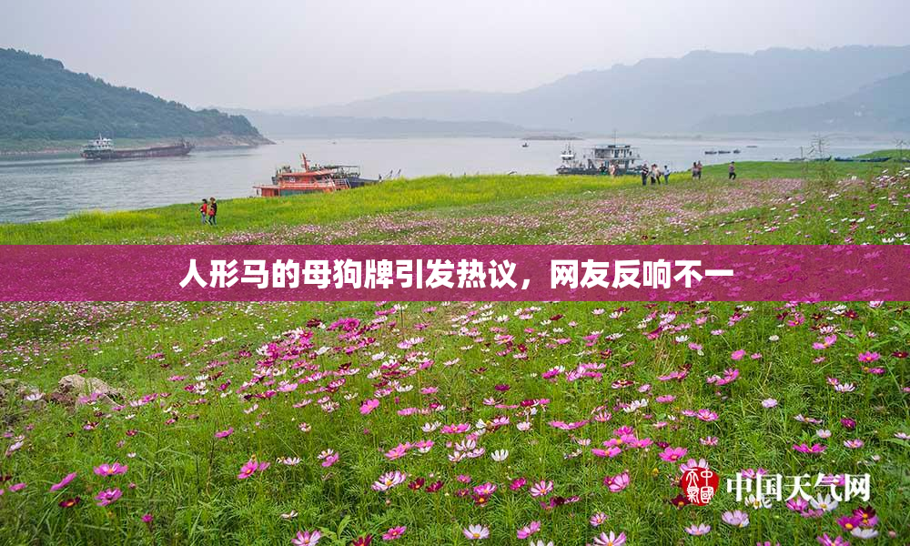 人形马的母狗牌引发热议，网友反响不一