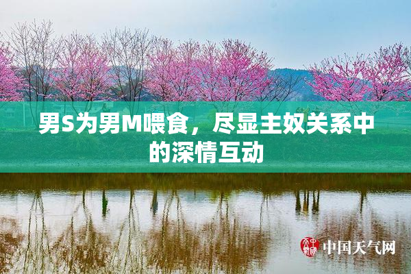 男S为男M喂食，尽显主奴关系中的深情互动