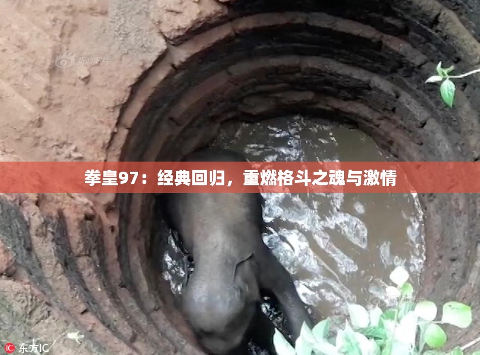 拳皇97：经典回归，重燃格斗之魂与激情