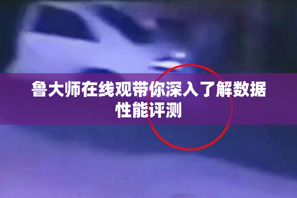 鲁大师在线观带你深入了解数据性能评测