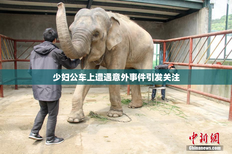 少妇公车上遭遇意外事件引发关注