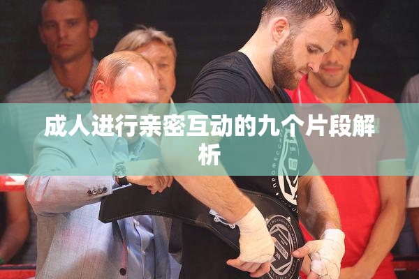成人进行亲密互动的九个片段解析