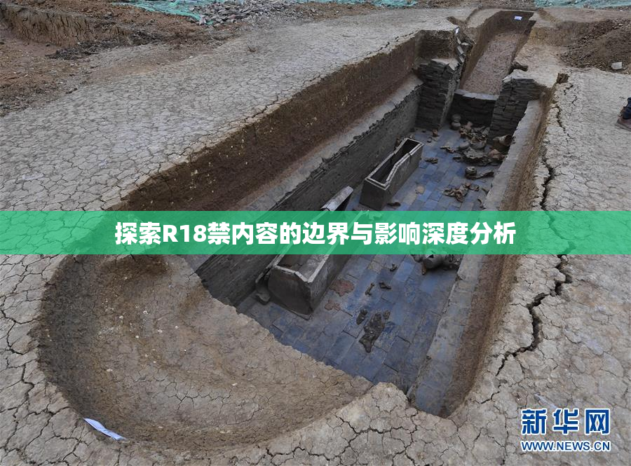 探索R18禁内容的边界与影响深度分析