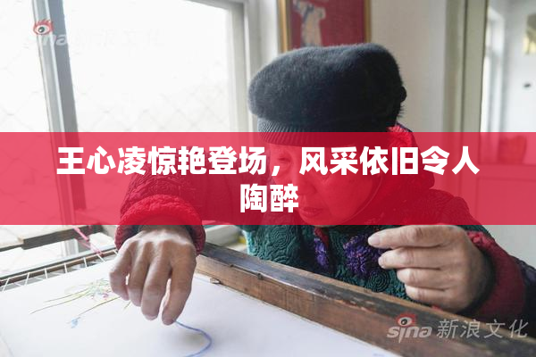 王心凌惊艳登场，风采依旧令人陶醉