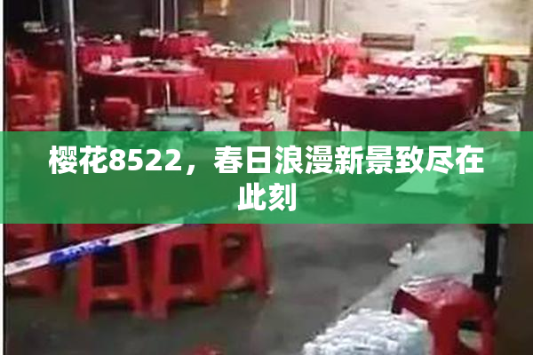 樱花8522，春日浪漫新景致尽在此刻