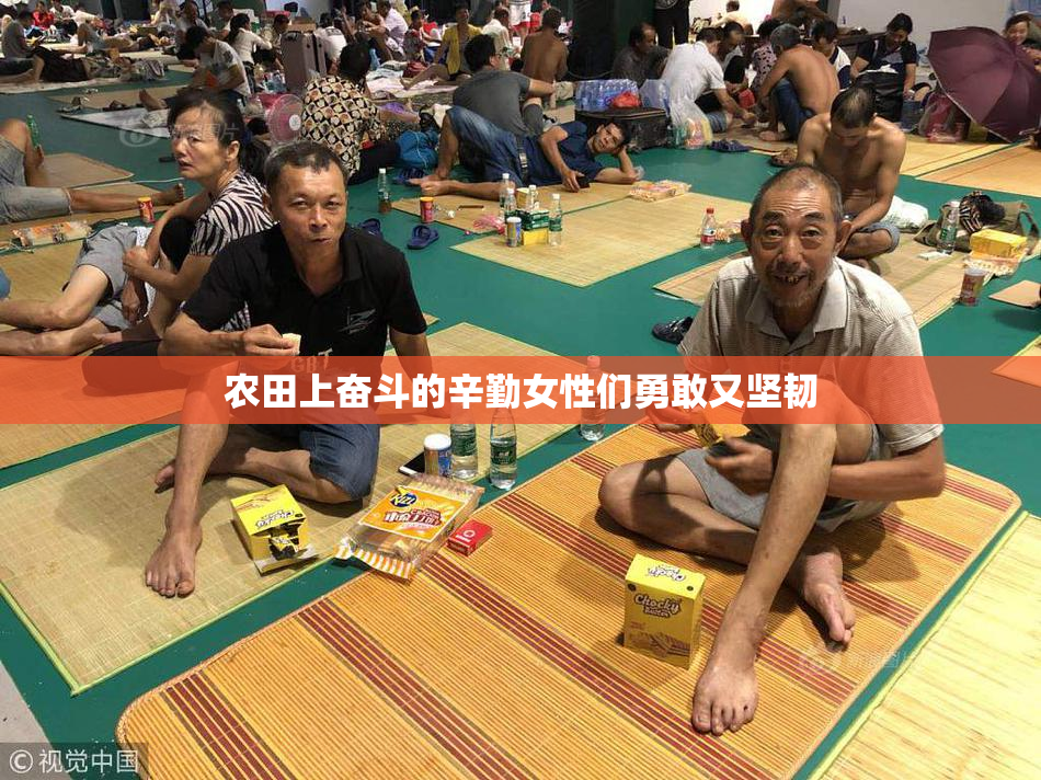 农田上奋斗的辛勤女性们勇敢又坚韧
