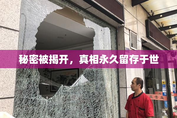秘密被揭开，真相永久留存于世