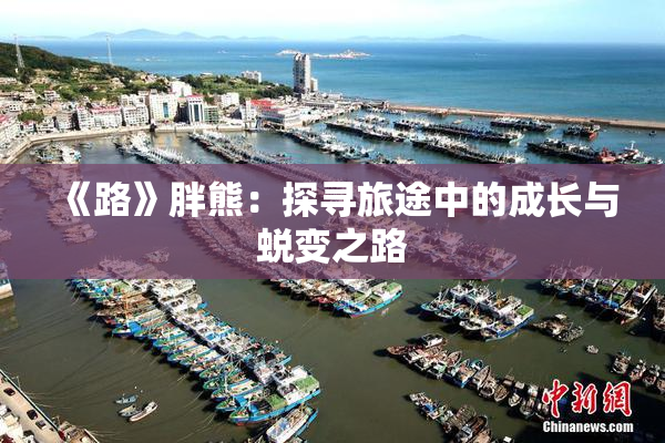 《路》胖熊：探寻旅途中的成长与蜕变之路