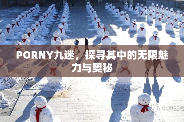 PORNY九迷，探寻其中的无限魅力与奥秘