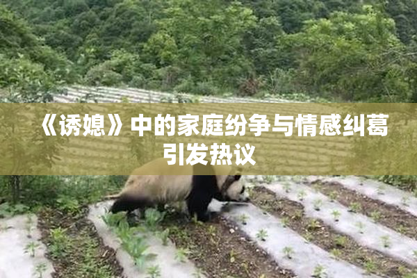 《诱媳》中的家庭纷争与情感纠葛引发热议