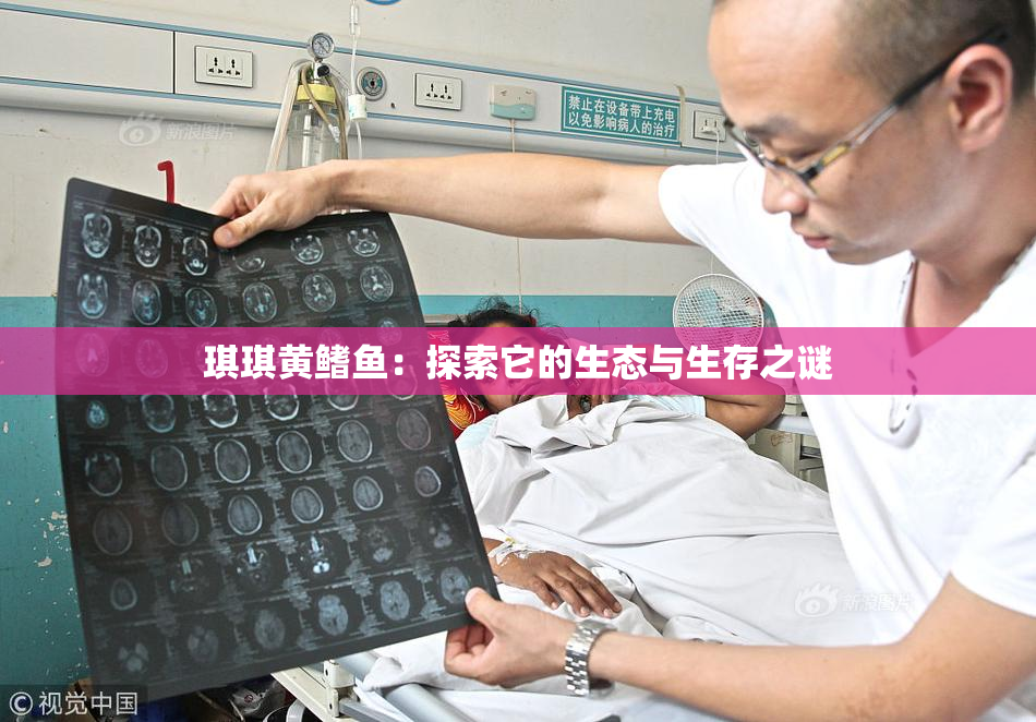琪琪黄鳍鱼：探索它的生态与生存之谜