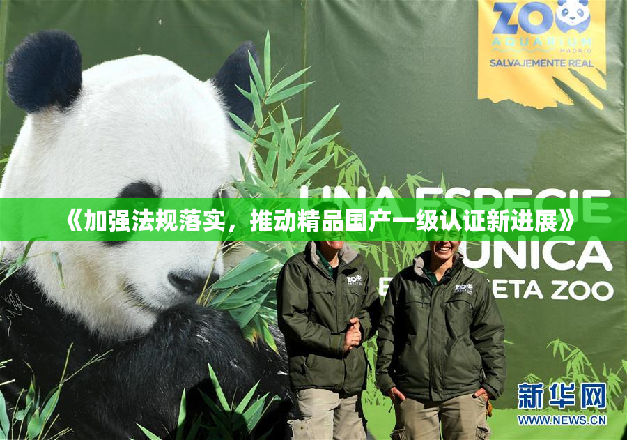 《加强法规落实，推动精品国产一级认证新进展》