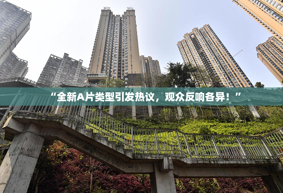 “全新A片类型引发热议，观众反响各异！”