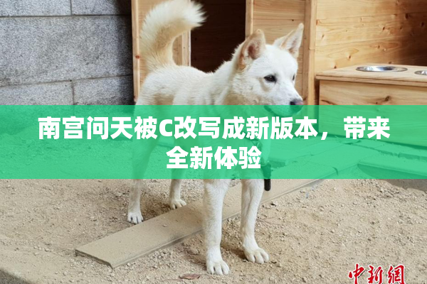 南宫问天被C改写成新版本，带来全新体验