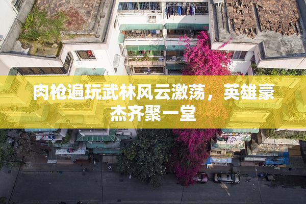 肉枪遍玩武林风云激荡，英雄豪杰齐聚一堂