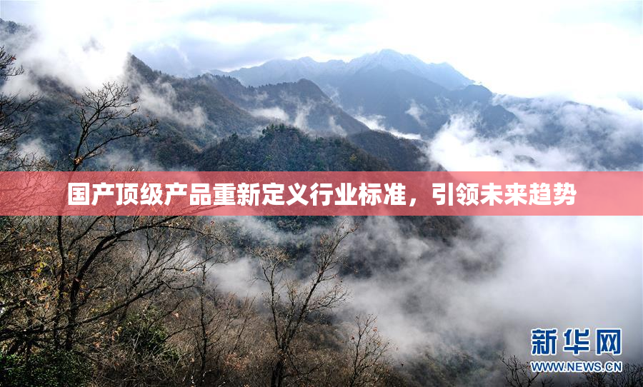 国产顶级产品重新定义行业标准，引领未来趋势