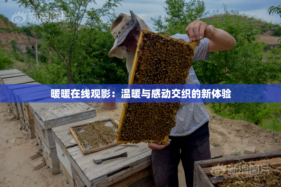 暖暖在线观影：温暖与感动交织的新体验