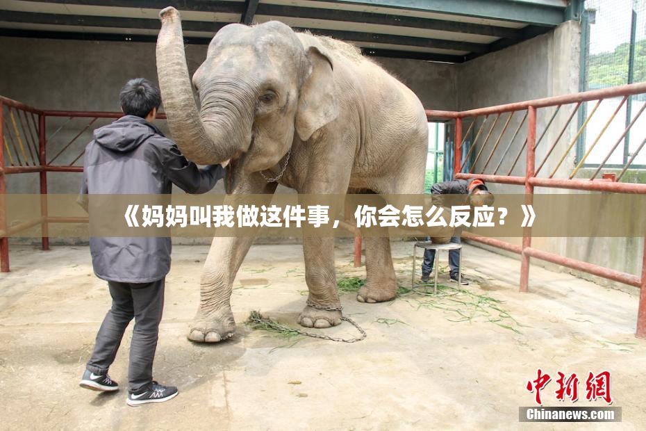 《妈妈叫我做这件事，你会怎么反应？》