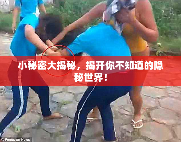 小秘密大揭秘，揭开你不知道的隐秘世界！