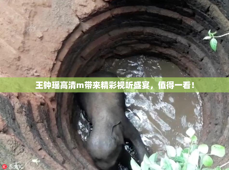 王钟瑶高清m带来精彩视听盛宴，值得一看！