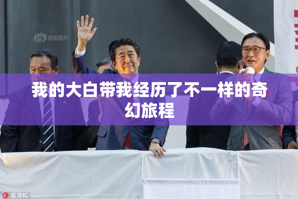 我的大白带我经历了不一样的奇幻旅程