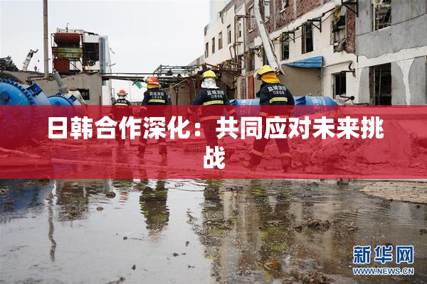 日韩合作深化：共同应对未来挑战