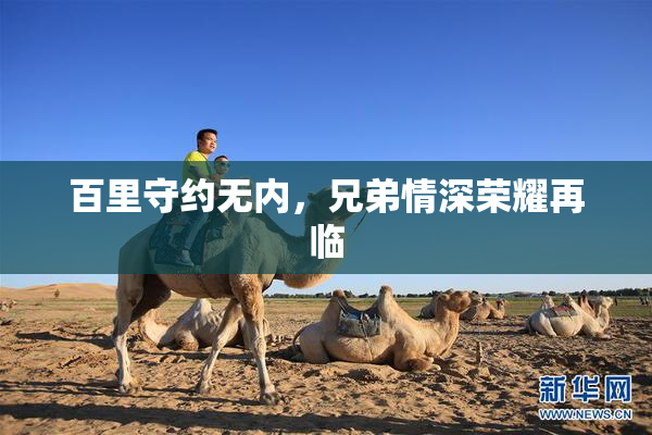 百里守约无内，兄弟情深荣耀再临