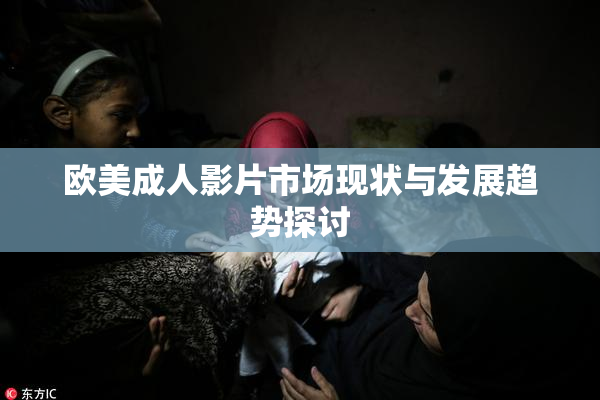 欧美成人影片市场现状与发展趋势探讨